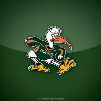 University Of Miami Wallpaper