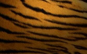 Mac Os Tiger Wallpaper Stock Photos