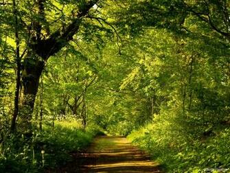 Wallpaper HD Landscape Index