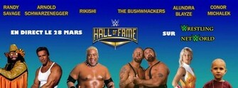 Wwe Hall Of Fame Custom Wallpaper By Wrestling Networld On