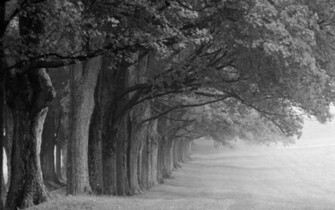 Black And White Nature Snow Car Pictures