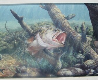 Largemouth Bass Fishing Wallpaper Screensaver