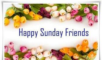 Happy Sunday Friends Nice HD Pics Wallpaper