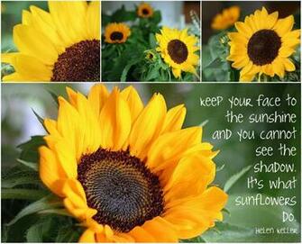 Grateful Prayer And A Thankful Heart Mosaic Monday Sunflowers