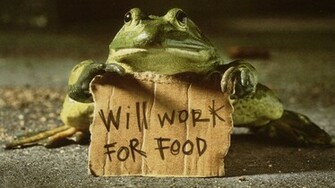 3d Funny Frog Will Get Job Wallpaper Best
