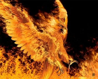 Phoenix Bird Widescreen Wallpaper
