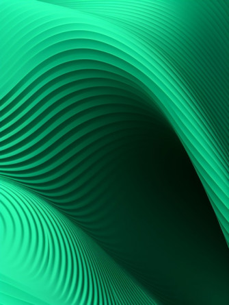 Premium Vector Wallpaper