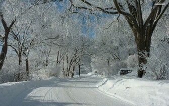 Nice Snowy Road Forest Wallpaper Stock