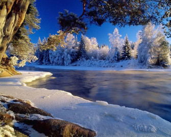 Cool Kids Love Nature Beautiful Winter Scene Photo Credit