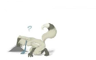 Furry Wallpaper