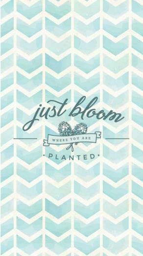 Cute iPhone Wallpaper Quotes Details