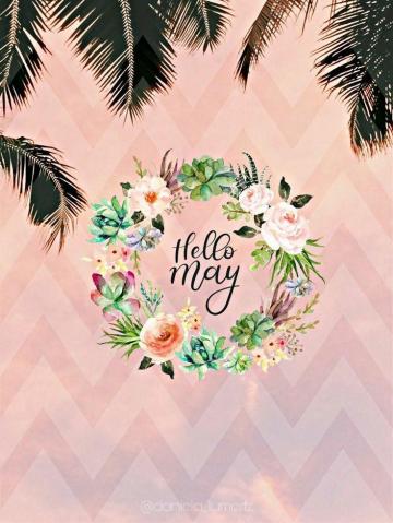 Planodefundo Rainbow Wallpaper Colorful In