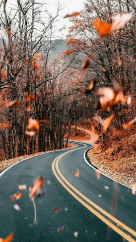 Herbstgedanken Fall Wallpaper Landscape Pictures