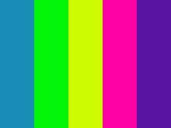 Fuchsia Hot Pink Lime Apple Neon Purple Teal Turquoise Yellow