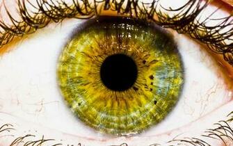 The Eye Wallpaper HD