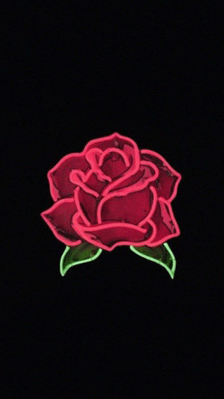 Black Rose Aesthetic Wallpaper