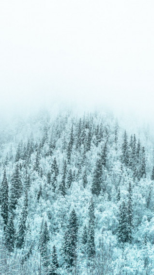 Gorgeous Winter Wallpaper For iPhone