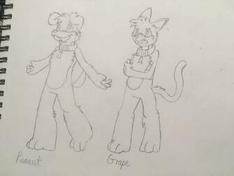 Some Housepets Art Furry Amino