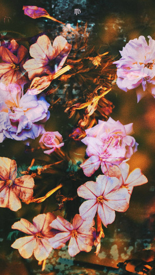 Aesthetic Spring Wallpaper S