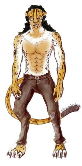 Rob Lucci Leopard Form By Akatsukicat