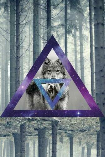 Hipster Wolves Triangle And Galaxy