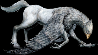 Melinda Bagman Fantastic Beasts Hippogriff Dumbledore S Army