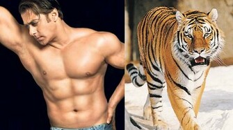 Yourspj Salman Khan Movie Sher All About