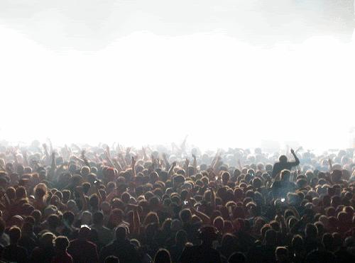 Sik Crowd Wallpaper Background Theme Desktop
