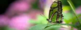 Beautiful Wallpaper For Desktop Timeline Covers Photos
