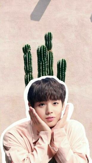 Park Ji Hoon Wanna One Wallpaper