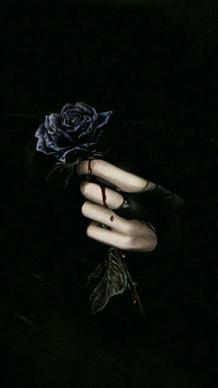 Black Rose Aesthetic Wallpaper