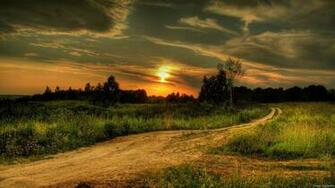 Country Signature Evening Twilight Wood Grass Vegetation Summer