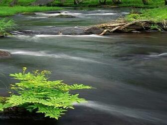Wallpaper Most Beautiful Natural Desktop