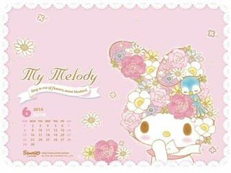 Wednesday June
