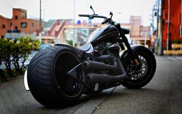 Custom Harley Davidson