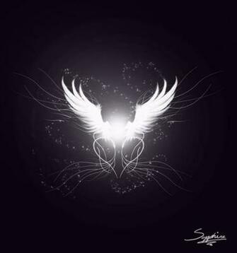 Angel Wing Design By Dannys