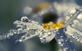 Beautiful Wallpaper Rain For Your Desktop