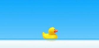 Rubber Duck Wallpaper Ducky Live
