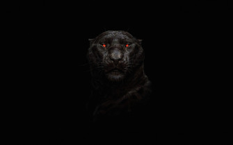 Dark Wallpaper HD