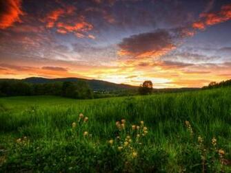 Summer Sunset Wallpaper