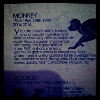 Monkey Zodiac By Postmodernromance