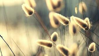 Galaxy S4 Some Nice Wallpaper Android Forums At Androidcentral