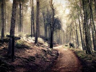 Stock Path Through A Spooky Indie Style Forest By Needanewname On