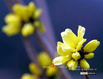 Flowers Wallpaper March Desktop Calendar