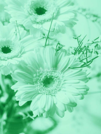Mint Green Aesthetic Wallpaper