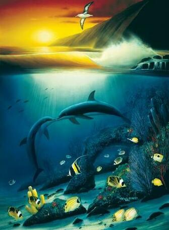 Wyland Wallpaper At Wallpaperbro