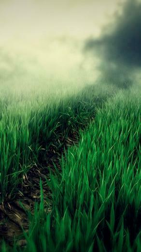 Recently Added Nature Mobile Phone Wallpaper