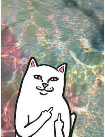 Ripndip Wallpaper iPhone