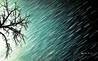 Heavy Rain Shower Wallpaper And Image
