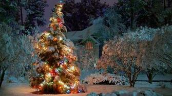Outdoor Christmas Tree Desktop Pc And Mac Wallpaper Pictures